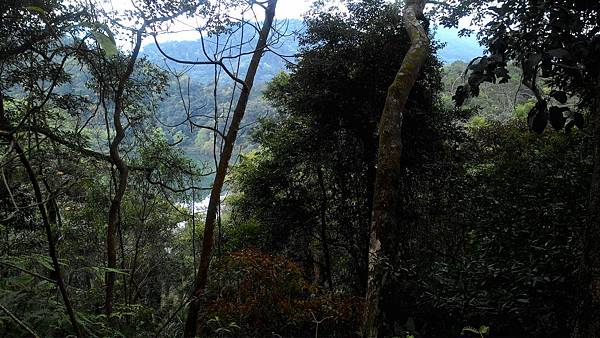 P_20180315_083603.jpg P_20180315_083603.jpg