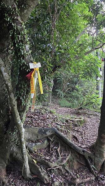 第518回[基隆]情人湖環湖步道、大武崙砲台、大武崙山(小百