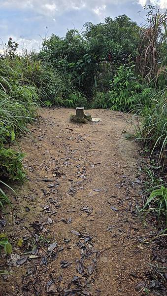 第518回[基隆]情人湖環湖步道、大武崙砲台、大武崙山(小百