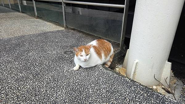 第518回[基隆]情人湖環湖步道、大武崙砲台、大武崙山(小百