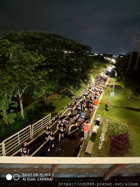 IMG_8383.JPG IMG_8383.JPG