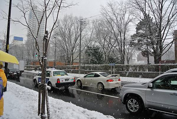 北海道大學的圍牆