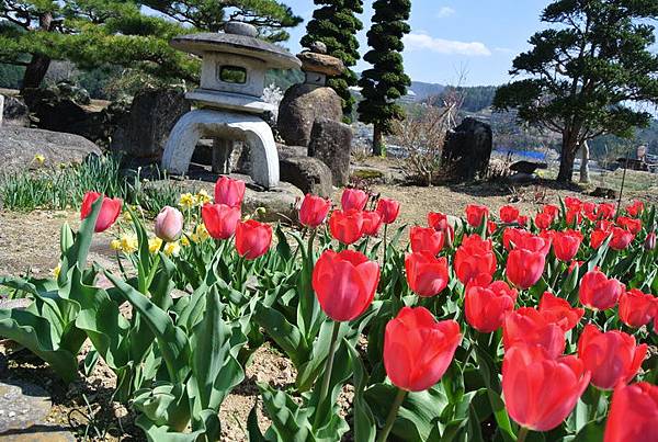 DSC_7664_調整大小