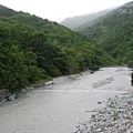 知本溪與觀林吊橋