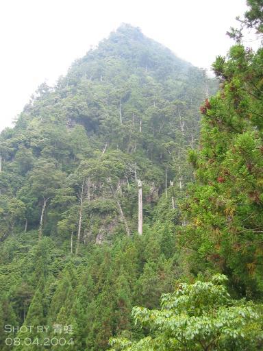 觀霧‧近看榛山