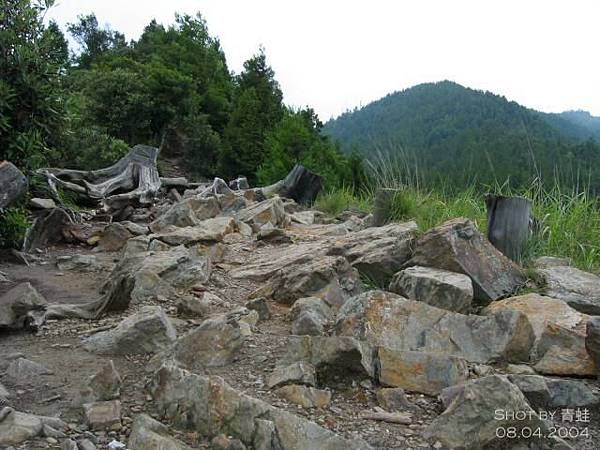 觀霧‧榛山步道