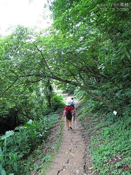 土城桐花公園