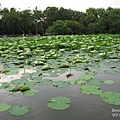 台北植物園