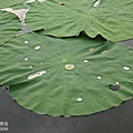 台北植物園