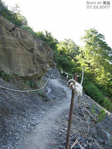 巨木林步道