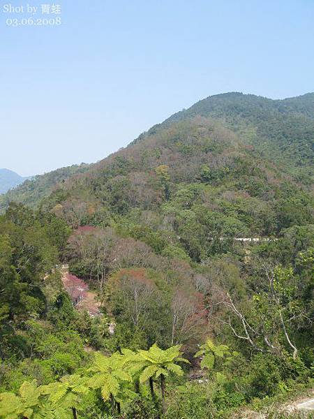 隱沒在山間的林道