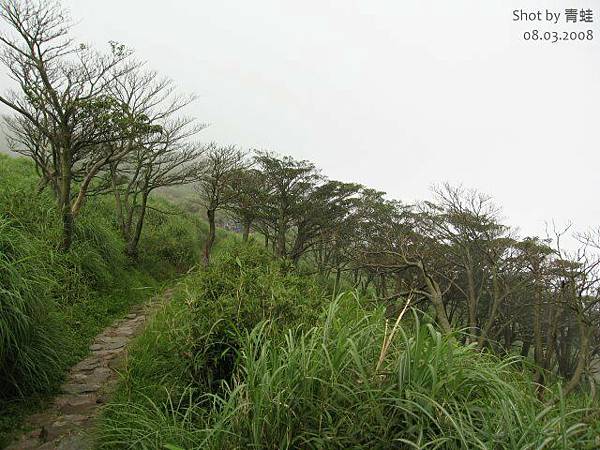 七星山步道