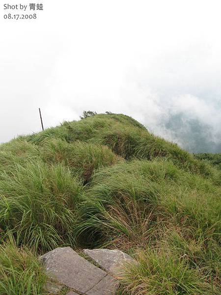 大屯山主峰