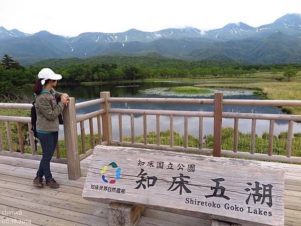 知床五湖.高架木道