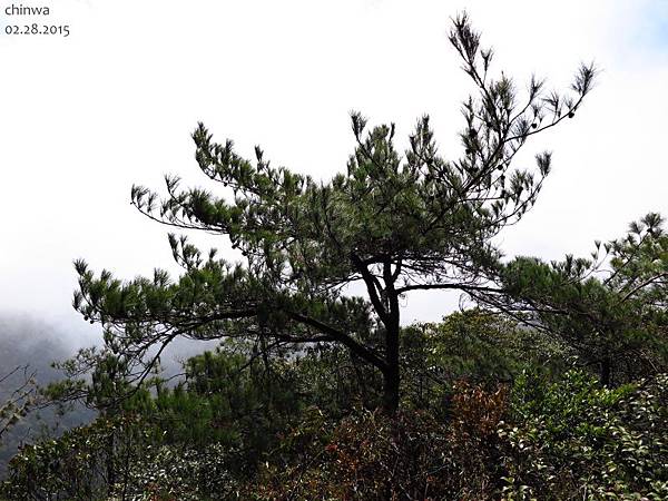 鳶嘴稍來山步道