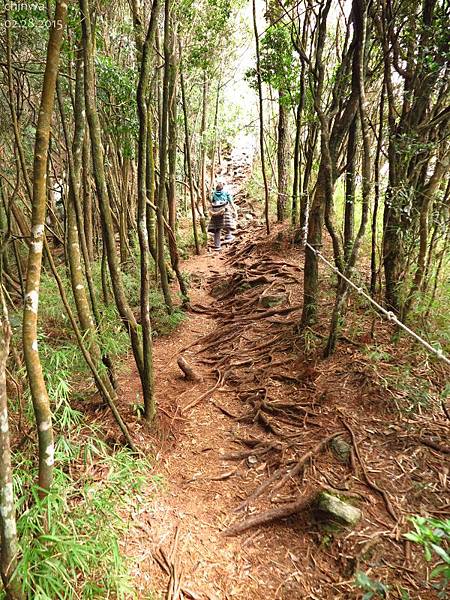 鳶嘴稍來山步道