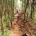 鳶嘴稍來山步道