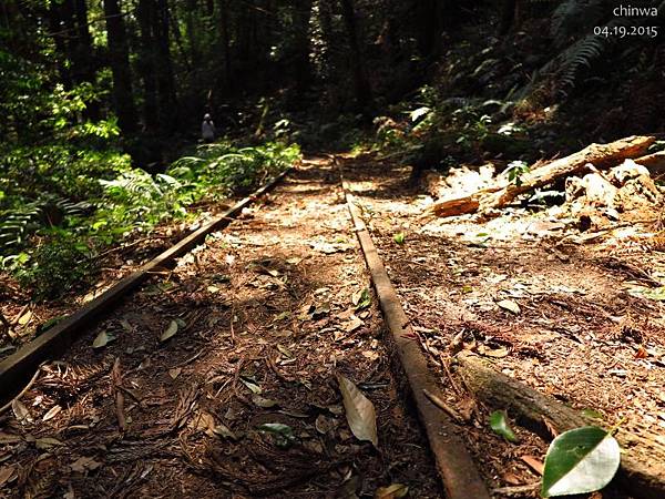 加里山步道.台車軌道遺址