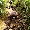 加里山步道