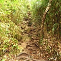 加里山步道