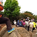 加里山步道.山頂