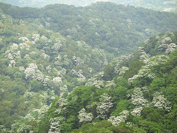 五寮尖步道.頂峰