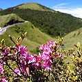 合歡山北峰步道