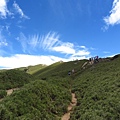 合歡山北峰步道