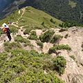 合歡山北峰步道