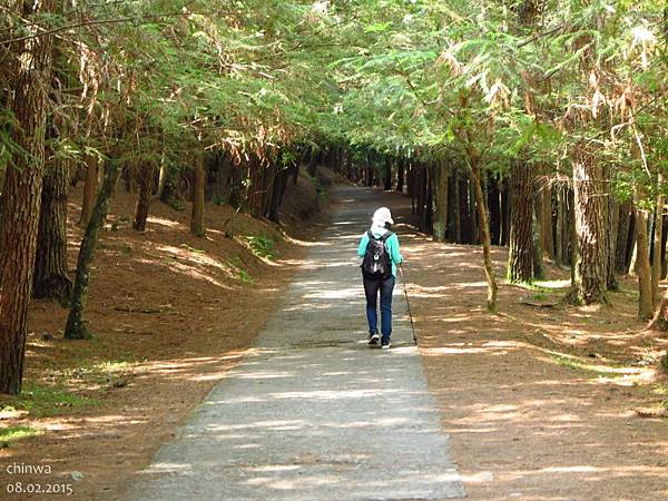 桃山瀑布步道