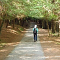 桃山瀑布步道