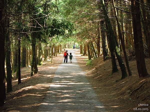 桃山瀑布步道