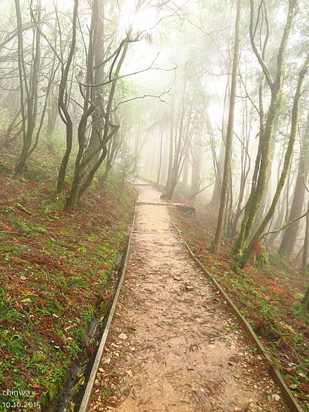 檜山巨木森林步道