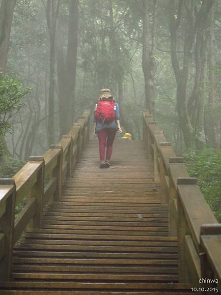 檜山巨木森林步道