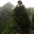 榛山步道