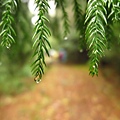 榛山步道