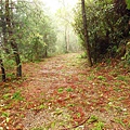 榛山步道