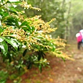 榛山步道