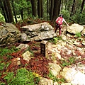 榛山步道