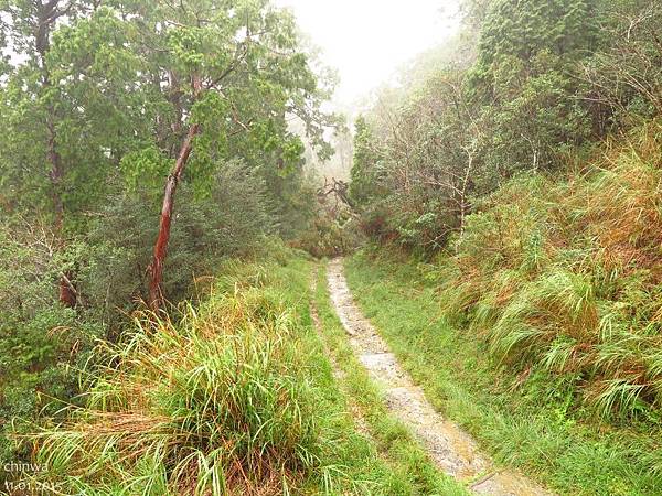 翠峰湖環山步道