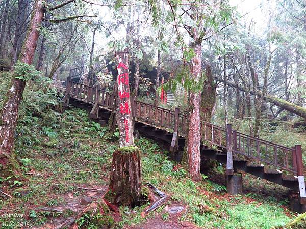 原始森林公園