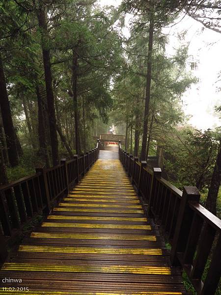 原始森林公園