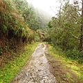 台灣山毛櫸國家步道