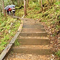 台灣山毛櫸國家步道