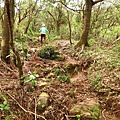 大屯主峰連峰步道