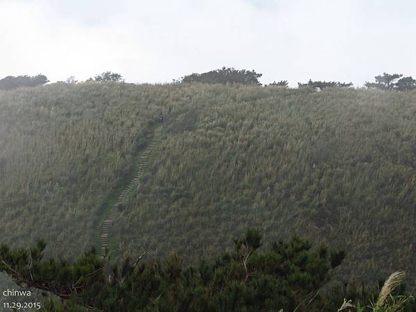 面天山