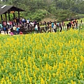 樟樹步道