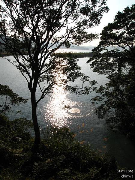 日月潭.大竹湖