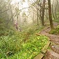 台灣山毛櫸國家步道