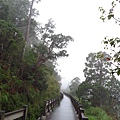 翠峰湖環山步道